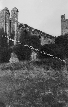 DUNBRODY ABBEY BROKEN W. WINDOW & GABLE